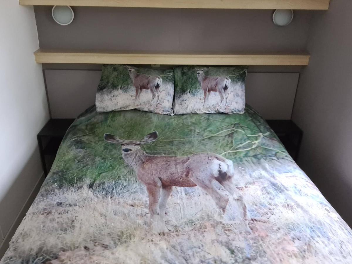 Relax Huisje Is Een Luxe Huisje Met Een Vaatwasser En Zeer Snel Wifi 5G En Is Voorzien Van Een Nieuwe Badkamer En Keuken Met Een Omheinde Tuin Met Een Eigen Parkeerplaats Putten Exterior foto
