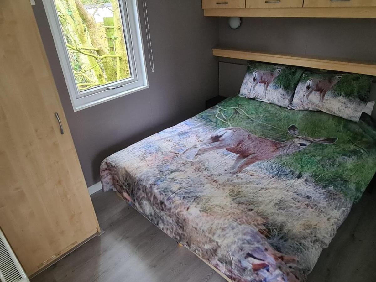 Relax Huisje Is Een Luxe Huisje Met Een Vaatwasser En Zeer Snel Wifi 5G En Is Voorzien Van Een Nieuwe Badkamer En Keuken Met Een Omheinde Tuin Met Een Eigen Parkeerplaats Putten Exterior foto